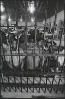 Parchman Prison, 1969