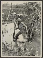 Mud And Water--Paratroopers of the 173rd Airborne cross a small muddy stream typical of the operational area of the Mekong Delta