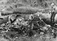 Standing guard over wreckage