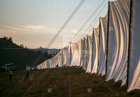 Christo, Running Fence