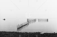 Lake and Beach, Nova Scotia, ca. 1951-52