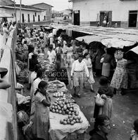 South American market, 1953