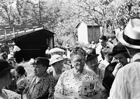 Auction, Woodstock, New York, 1935