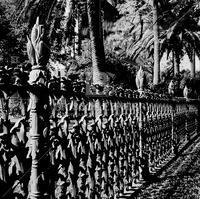 Ironwork fence, New Orleans, 1959