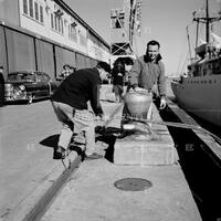 Dock workers, New Orleans, 1959