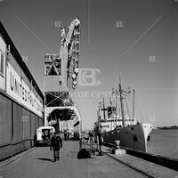 Docks, New Orleans, 1959