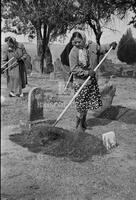 Cemetery cleaning party, Smithwick, Texas, 1954
