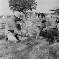 Cemetery cleaning party, Smithwick, Texas, 1954