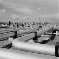 Arabian-American Oil Company pipeline, 1955