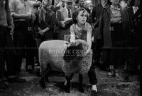 Young girl with her prize sheep, Austin Fat Stock Show, 1956