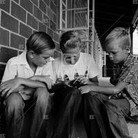 Skunk catching in Texas, August 1956