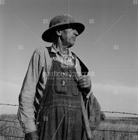 Texas skunk catcher, August 1956