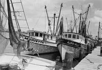 Blessing of the fleet, Aransas Pass, 1958