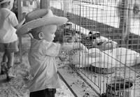 Gillespie County Fair, 1958