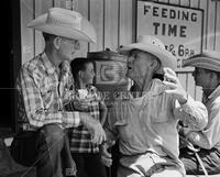 Texas Cowboy Reunion, Stamford, 1959