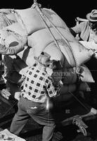 New Orleans stevedore, 1959