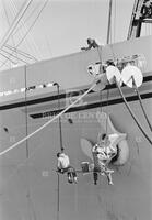 New Orleans ship painters, 1959