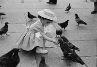 Girl feeding pigeons, Bologna, Italy, 1960