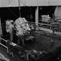 Off-loading cargo, Port of New Orleans, 1959