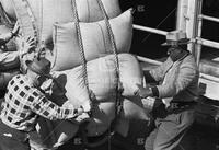 Unloading coffee at Poydras Street wharf, New Orleans, 1959