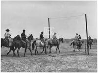 Cowboys leaving for the afternoon's work - Waggoner Estate Ranch, near Vernon Texas