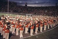 Texas Longhorn Band