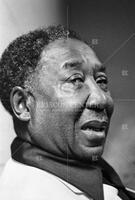 Muddy Waters