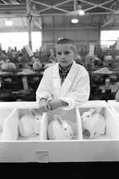 4-H exhibitor at the Indiana State Fair