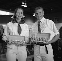 California State Fair egg competition prizewinners