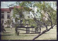 Battle Hall, University of Texas