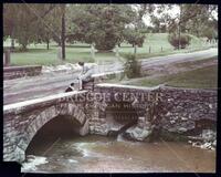 Zilker Park