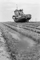 Hurricane Carla, 1961