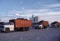 Agriculture; [Sugar beets]