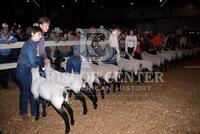 Austin Livestock Show