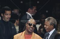 Nelson Mandela, Stevie Wonder