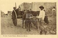 Ox Cart (Typical Scene), Matamoros, Mexico.