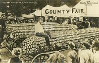 Our county fair contest on corn.