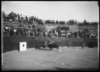 Bullfights, Matamoros, Mexico