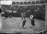 Bullfights, Matamoros, Mexico