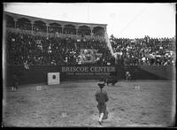 Bullfights, Matamoros, Mexico