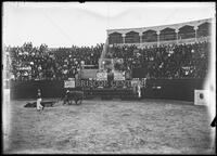 Bullfights, Matamoros, Mexico