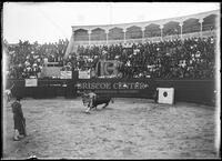 Bullfights, Matamoros, Mexico