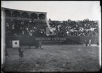 Bullfights, Matamoros, Mexico