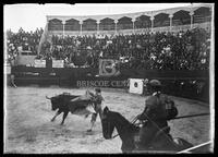 Bullfights, Matamoros, Mexico