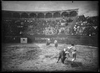 Bullfights, Matamoros, Mexico