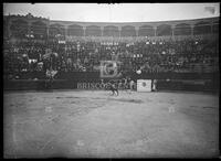 Bullfights, Matamoros, Mexico