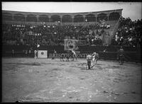 Bullfights, Matamoros, Mexico