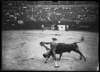 Bullfights, Matamoros, Mexico