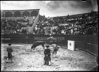 Bullfights, Matamoros, Mexico