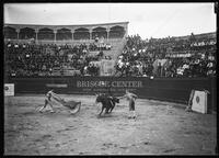 Bullfights, Matamoros, Mexico
